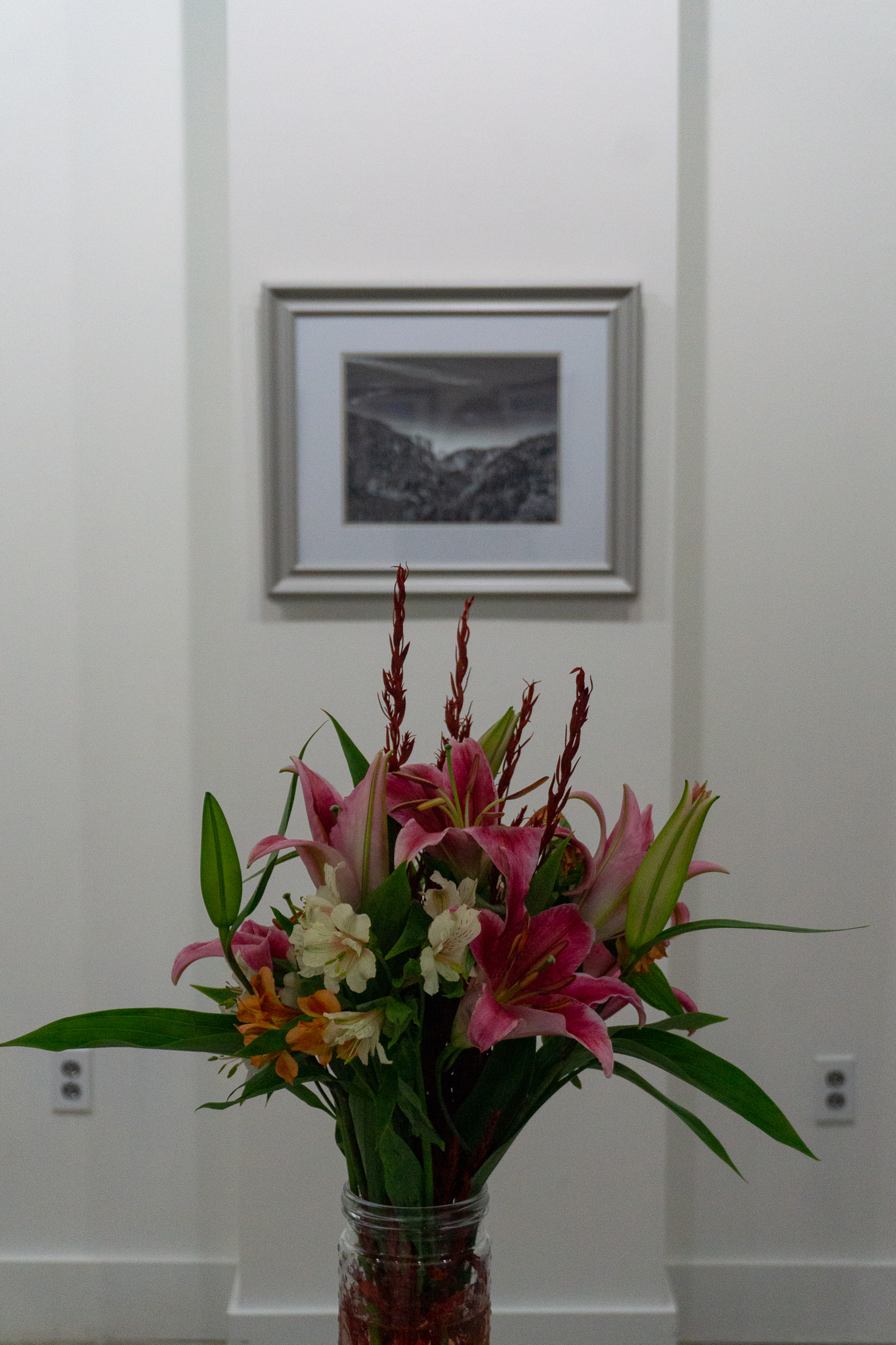 A framed landscape photograph on the wall above a houseplant