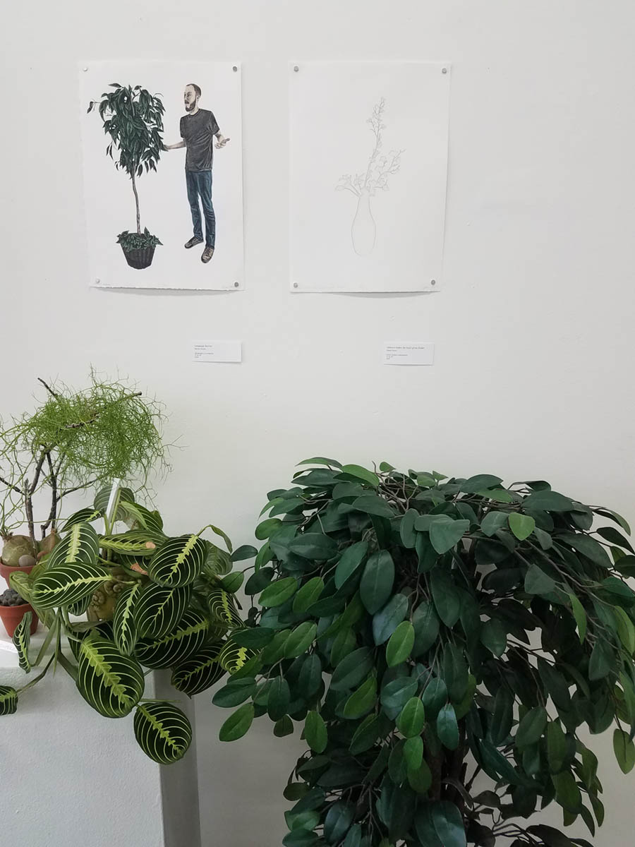 Artworks from the installation with plants beneath them