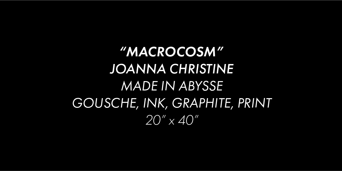 Black background with white text reading "Macrocosm", Joanna Christine, made in abysse, gousche, ink, graphite, print, 20 inches by 40 inches