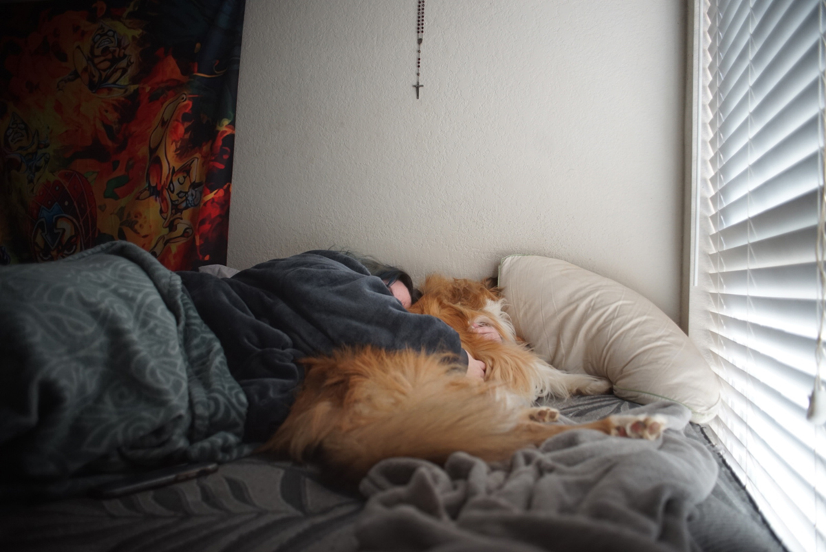 A photo of a person lying in bed with an orange long-haired cat